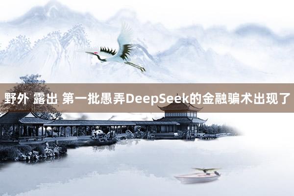 野外 露出 第一批愚弄DeepSeek的金融骗术出现了