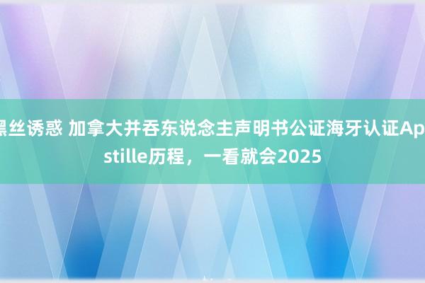 黑丝诱惑 加拿大并吞东说念主声明书公证海牙认证Apostille历程，一看就会2025