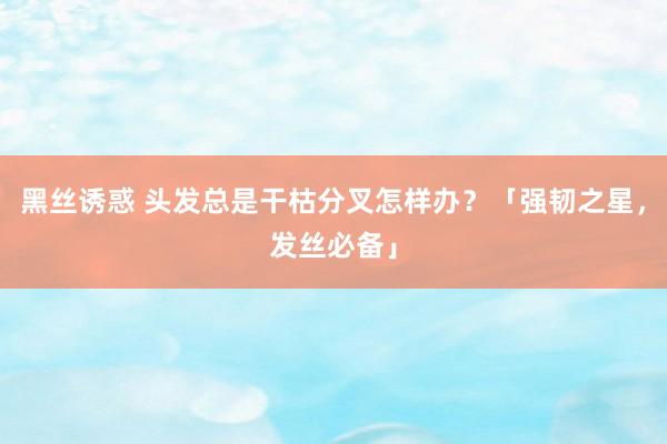 黑丝诱惑 头发总是干枯分叉怎样办？「强韧之星，发丝必备」