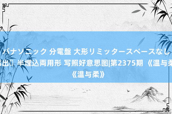 パナソニック 分電盤 大形リミッタースペースなし 露出・半埋込両用形 写照好意思图|第2375期 《温与柔》