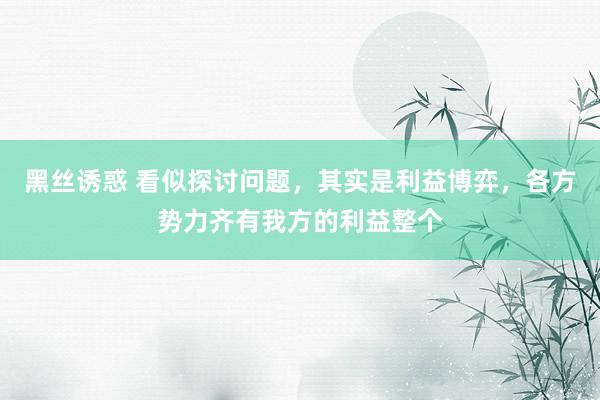 黑丝诱惑 看似探讨问题，其实是利益博弈，各方势力齐有我方的利益整个