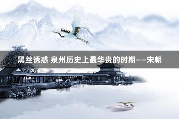 黑丝诱惑 泉州历史上最华贵的时期——宋朝