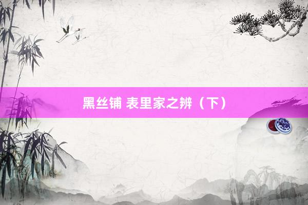 黑丝铺 表里家之辨（下）
