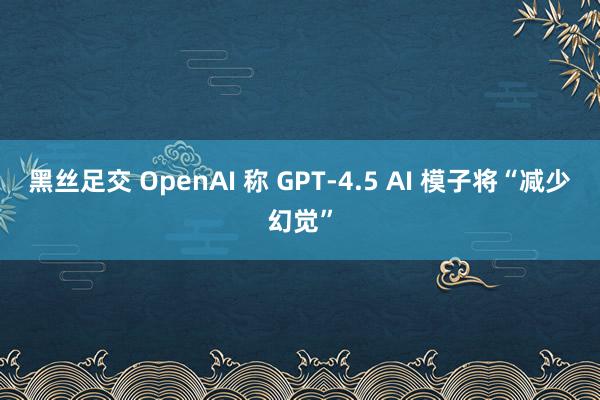 黑丝足交 OpenAI 称 GPT-4.5 AI 模子将“减少幻觉”