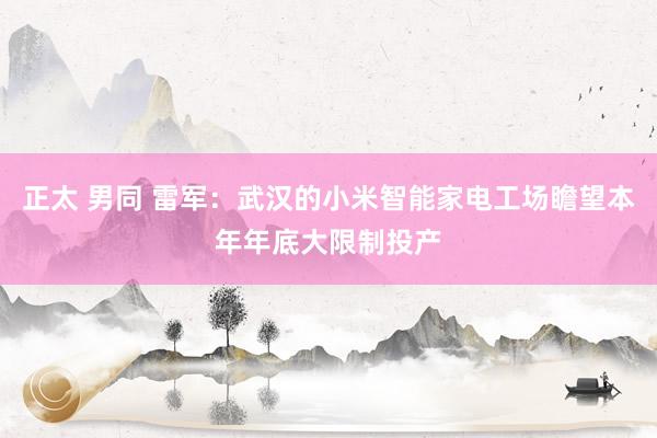 正太 男同 雷军：武汉的小米智能家电工场瞻望本年年底大限制投产